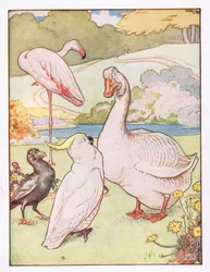 Und der Ganter verstand sie nicht, Illustration aus 